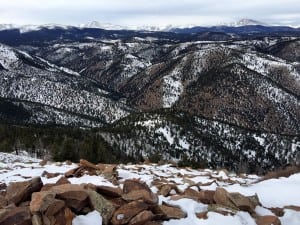 Joe Grant privilege 1