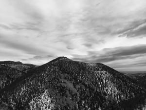 Joe Grant privilege 3