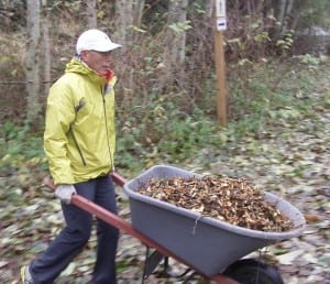 Glenn Tachiyama trail work