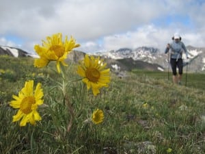 Trail runner Hardrock 100 course