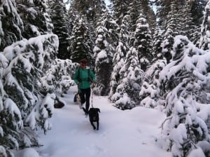 Trail running leashed dog