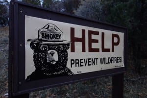 Smokey Bear