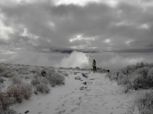 trail runner winter