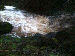 Swollen creek on the Way Too Cool 50k course