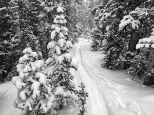 Joe Grant - Winter 3