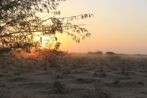 2015 Run the Rann course