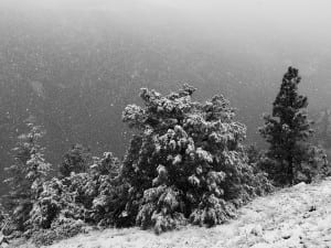 Joe Grant - A Run with Friends 3