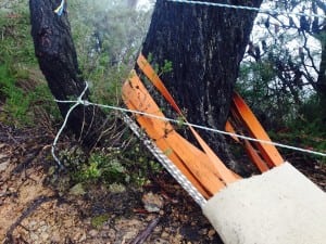 The North Face 100k Australia – Tarros Ladder anchor