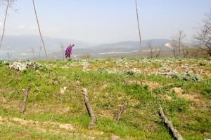 Female farmer – 2015 Iznik Ultras