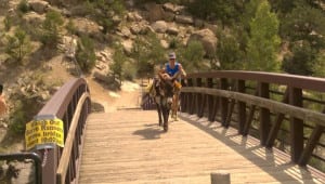 Geroge Zack and Jack - Triple Crown of Pack Burro Racing