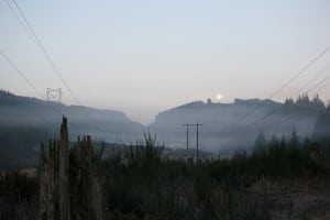 Hillbilly Half Marathon scenery - La Sportiva Mountain Cup