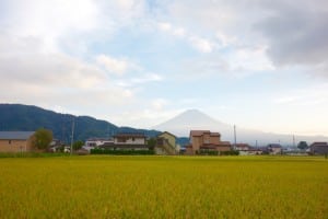 Mount Fuji - 2015 Ultra-Trail Mount Fuji