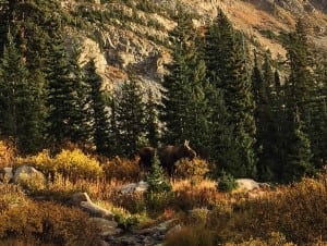 Indian Peak Classic 1