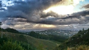 Cecilia Forest - South Africa trail running 2