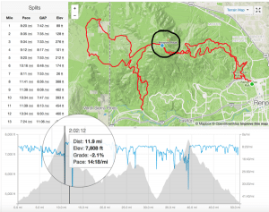 Figure 10. IT's Peavine split