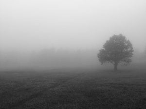 Simplify, Simplify 1