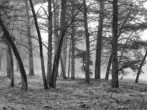 Simplify, Simplify 2