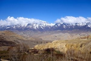 Desert and Mountain - 2015 Mustang Trail Race