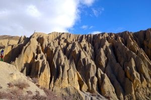 Gaudi - 2015 Mustang Trail Race