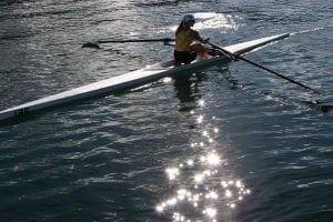 Sunny Blende 7 - Row Tahoe