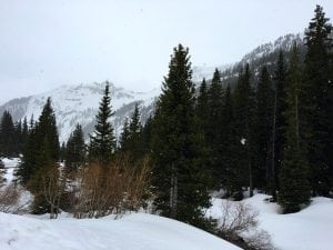 Camp Bird Road - Ruby Trust Mine Entrance