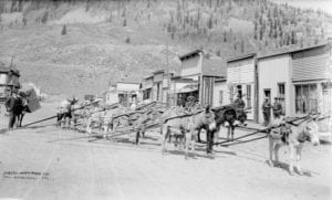 Pack Train - 13th Street Silverton, Colorado - 1892
