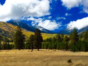 Kachina Peaks Wilderness Area