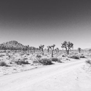 Joshua Tree National Park