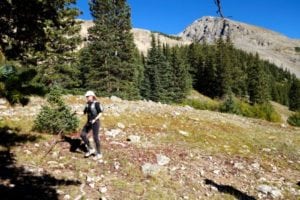 2016-nolans-14-cholesy-lake-entering