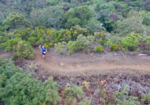 maxime-cazajous-2016-diagonale-des-fous
