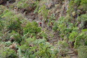 runners-on-stairs-2016-diagonale-des-fous