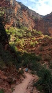 Jones-Wilkins Family - Grand Canyon