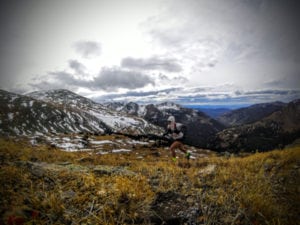 Zach Miller - Unknown 3