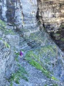 Morgan Williams 10 - low-altitude Alps