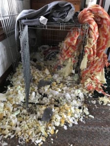 Trail Sisters - Motivation 2