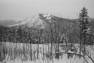 Joe Grant - In Focus 2