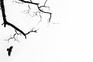 Joe Grant - Gratitude 2