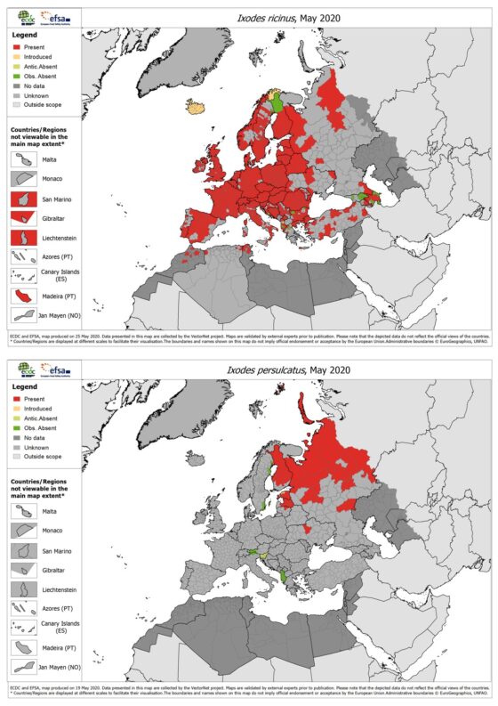 Tick Check A Guide for Running in Tick Country iRunFar