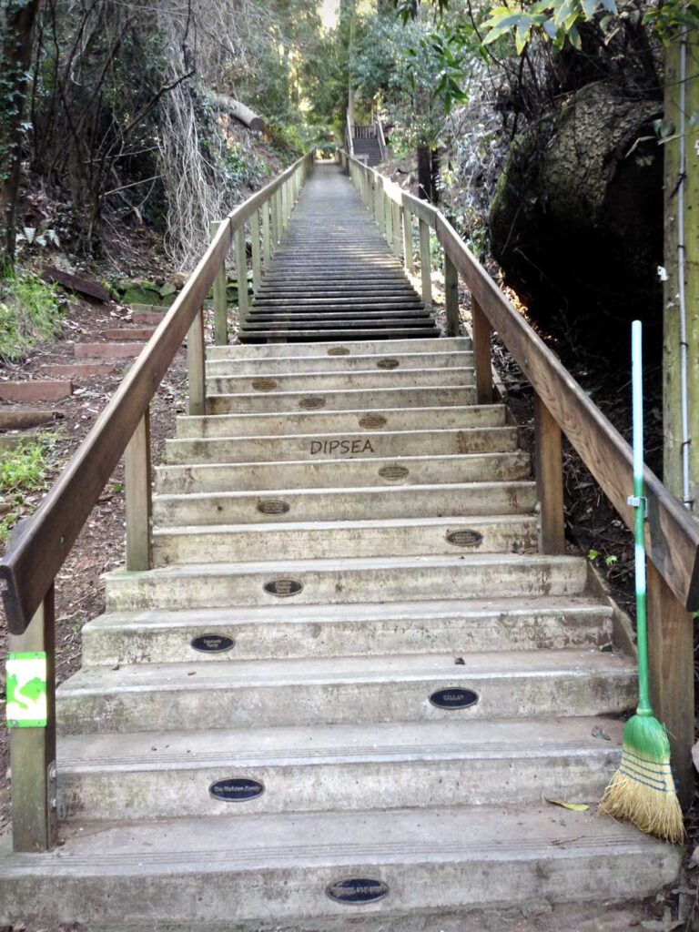 Trail Love Letter The Dipsea Trail iRunFar