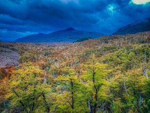 2022 Patagonia Run 70k - El Bosque Patigonico