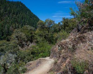 Rogue River Trail, Oregon