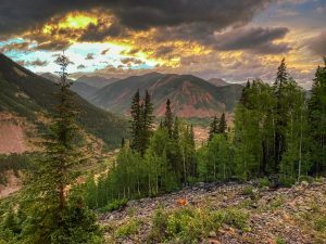 June 2022 - Kendall Mountain - Doe at sunset