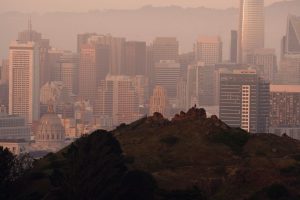 Urban Oasis San Francisco cityscape