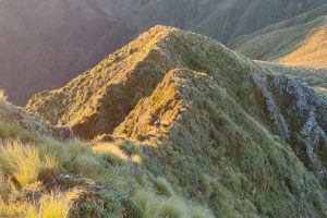 A lone runner at sunrise on a mountain.