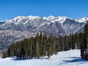 Purg - April 2022 - first blues