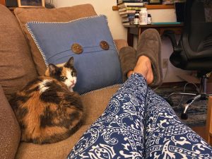 Cat and human resting on sofa