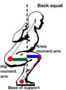 Back squat diagram