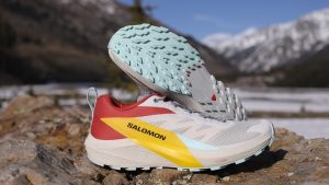 Salomon Sense Ride 5 - feature photo
