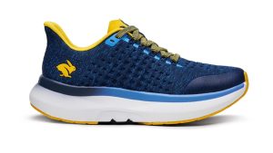 Rabbit Dream Chaser - feature