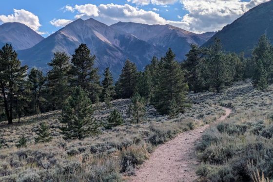 Leadville area trails